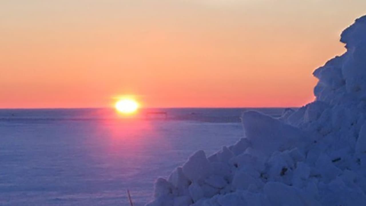 আর্থিক সমৃদ্ধিতে ও নানান জটিলতা থেকে মুক্তি পেতে রবিবার ভুলেও করবেন এই কাজ, রইল টোটকা