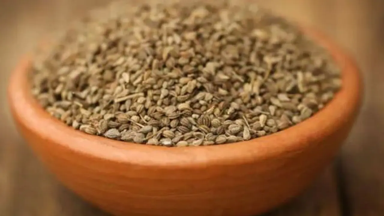 শুধু মুৃখশুদ্ধিই নয়, স্বাস্থ্য ভাল রাখতে রয়েছে জোয়ানের জুড়ি মেলা ভার শুধু মুৃখশুদ্ধিই নয়, স্বাস্থ্য ভাল রাখতে রয়েছে জোয়ানের জুড়ি মেলা ভার