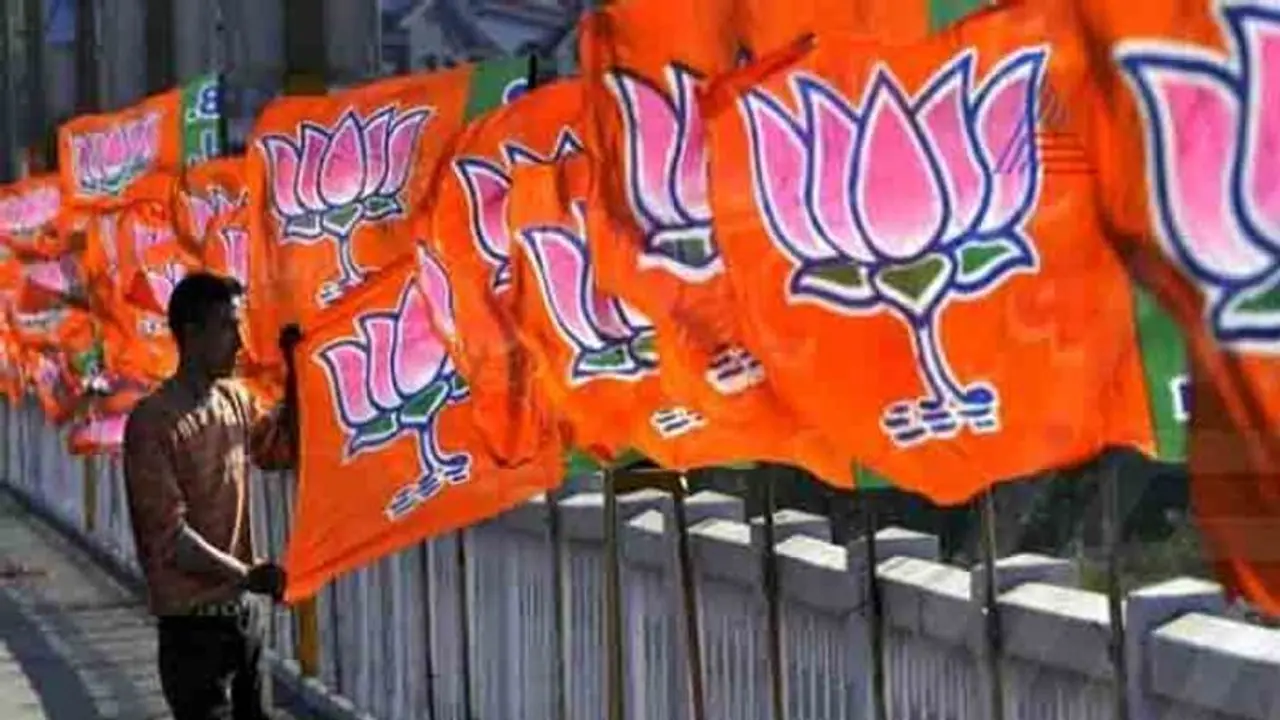 Lok Sabha election results 2019: BJP set for clean sweep in Delhi