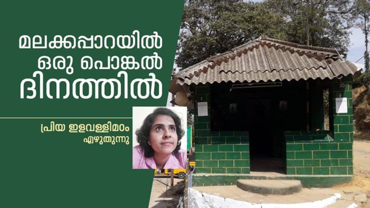 മലക്കപ്പാറയിൽ ഒരു പൊങ്കൽ ദിനത്തിൽ മലക്കപ്പാറയിൽ ഒരു പൊങ്കൽ ദിനത്തിൽ