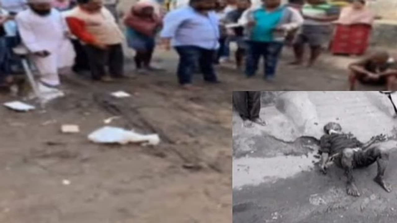 జూబ్లీహిల్స్లో పేలుడు: ఒకరికి తీవ్ర గాయాలు జూబ్లీహిల్స్లో పేలుడు: ఒకరికి తీవ్ర గాయాలు