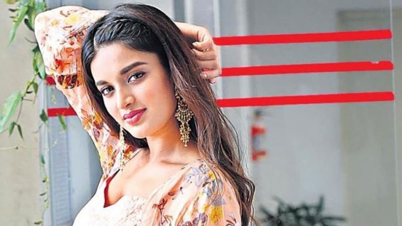 ‘ఇస్మార్ట్ శంకర్’ లో హీరోయిన్ క్యారక్టర్ లీక్! ‘ఇస్మార్ట్ శంకర్’ లో హీరోయిన్ క్యారక్టర్ లీక్!