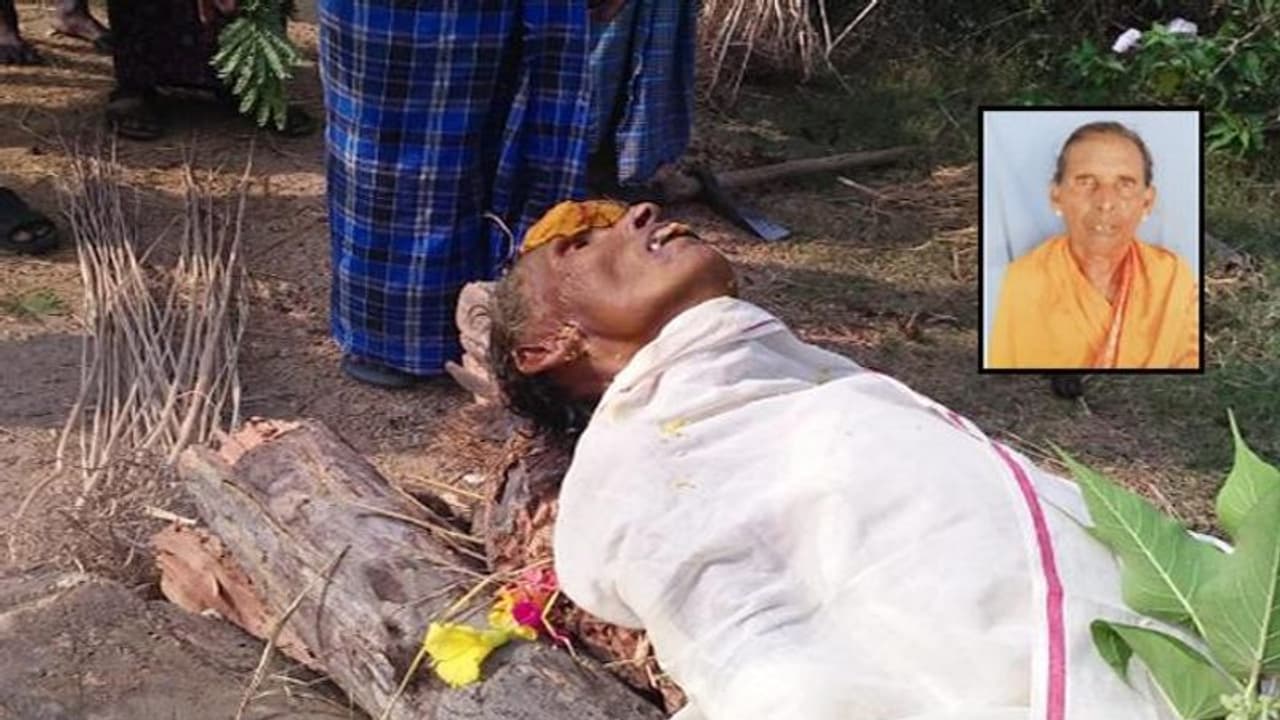 వృద్ధురాలిని పీక్కుతిన్న కుక్కలు వృద్ధురాలిని పీక్కుతిన్న కుక్కలు