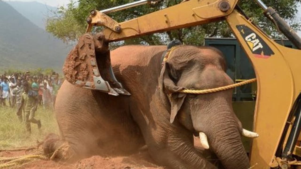 வந்துட்டேன்னு சொல்லு நான் திரும்ப வந்துட்டேன்னு சொல்லு... மீண்டும் கெத்தா ஊருக்குள் நுழைந்த சின்னத்தம்பி! வந்துட்டேன்னு சொல்லு நான் திரும்ப வந்துட்டேன்னு சொல்லு... மீண்டும் கெத்தா ஊருக்குள் நுழைந்த சின்னத்தம்பி!