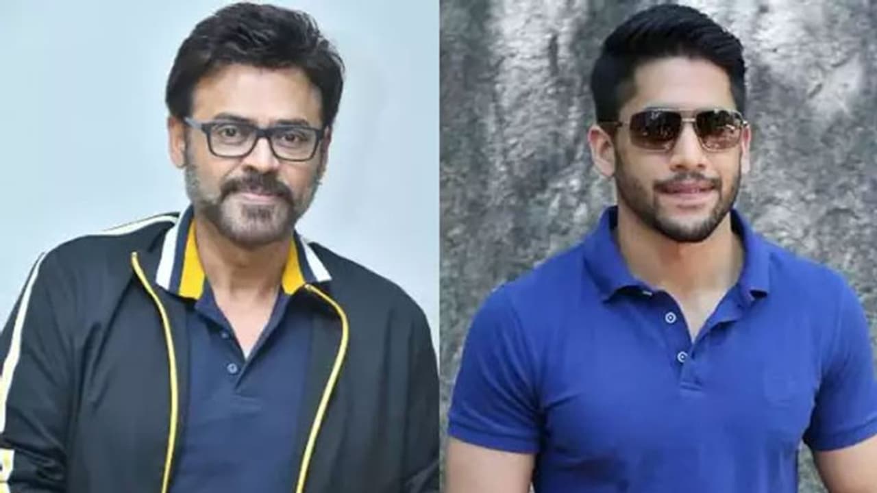 'వెంకీమామ' మళ్లీ డామినేట్ చేస్తాడా..? 'వెంకీమామ' మళ్లీ డామినేట్ చేస్తాడా..?