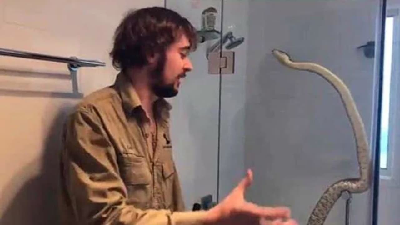 ಶವರ್ನಲ್ಲಿ ಹೆಬ್ಬಾವಿನ ಸ್ನಾನ!: ವಿಡಿಯೋ ವೈರಲ್ ಶವರ್ನಲ್ಲಿ ಹೆಬ್ಬಾವಿನ ಸ್ನಾನ!: ವಿಡಿಯೋ ವೈರಲ್