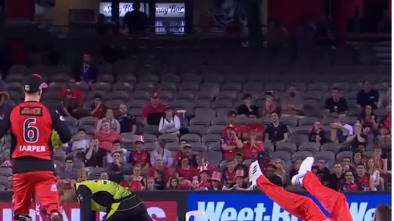 കൂട്ടിയിടിക്ക് ഒടുവില് ഔട്ട്; കാണാം ബിഗ് ബാഷിലെ രസകരമായ റണ്ണൗട്ട് കൂട്ടിയിടിക്ക് ഒടുവില് ഔട്ട്; കാണാം ബിഗ് ബാഷിലെ രസകരമായ റണ്ണൗട്ട്