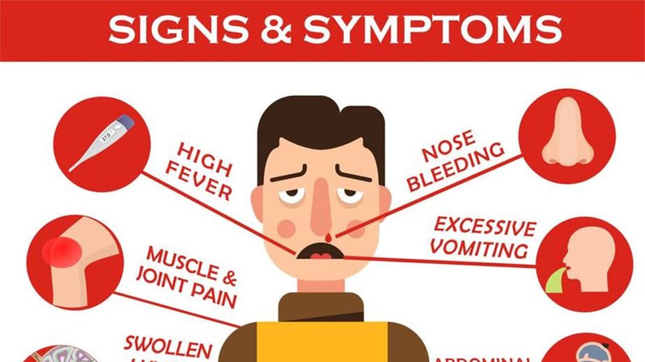 டெங்கு வராமல் தடுக்க உடனே இதை செய்யுங்க..! அதுதான் நல்லது..! டெங்கு வராமல் தடுக்க உடனே இதை செய்யுங்க..! அதுதான் நல்லது..!