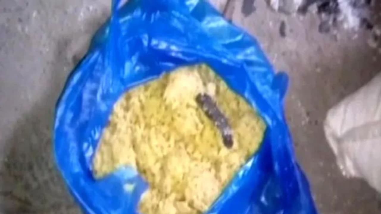 ಮಕ್ಕಳ ಬಿಸಿಯೂಟದಲ್ಲಿ ಹಾವು: ಬೆಚ್ಚಿ ಬಿದ್ದ ಮಕ್ಕಳು, ಶಿಕ್ಷಕರಿಗೂ ಗಾಬರಿ! ಮಕ್ಕಳ ಬಿಸಿಯೂಟದಲ್ಲಿ ಹಾವು: ಬೆಚ್ಚಿ ಬಿದ್ದ ಮಕ್ಕಳು, ಶಿಕ್ಷಕರಿಗೂ ಗಾಬರಿ!