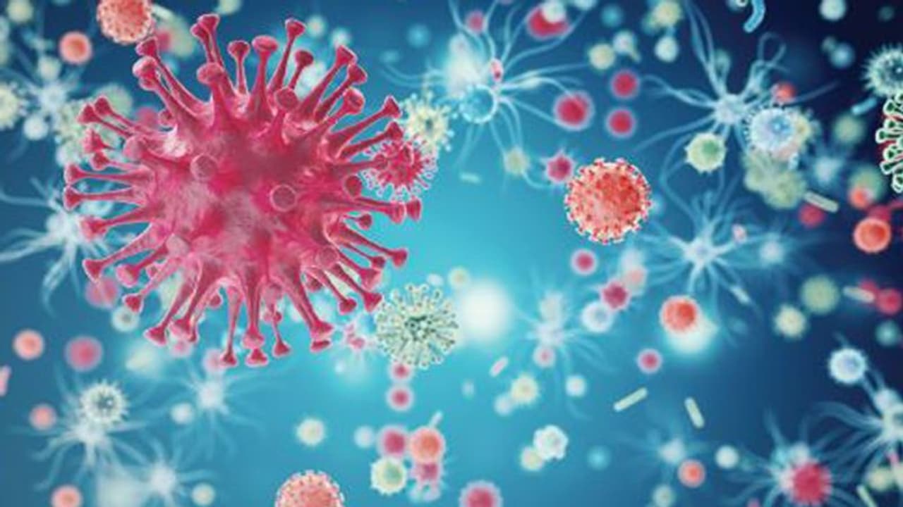 കഴുത്തിലെ ക്യാന്സര്: ശ്രദ്ധിക്കേണ്ട കാര്യങ്ങള് കഴുത്തിലെ ക്യാന്സര്: ശ്രദ്ധിക്കേണ്ട കാര്യങ്ങള്