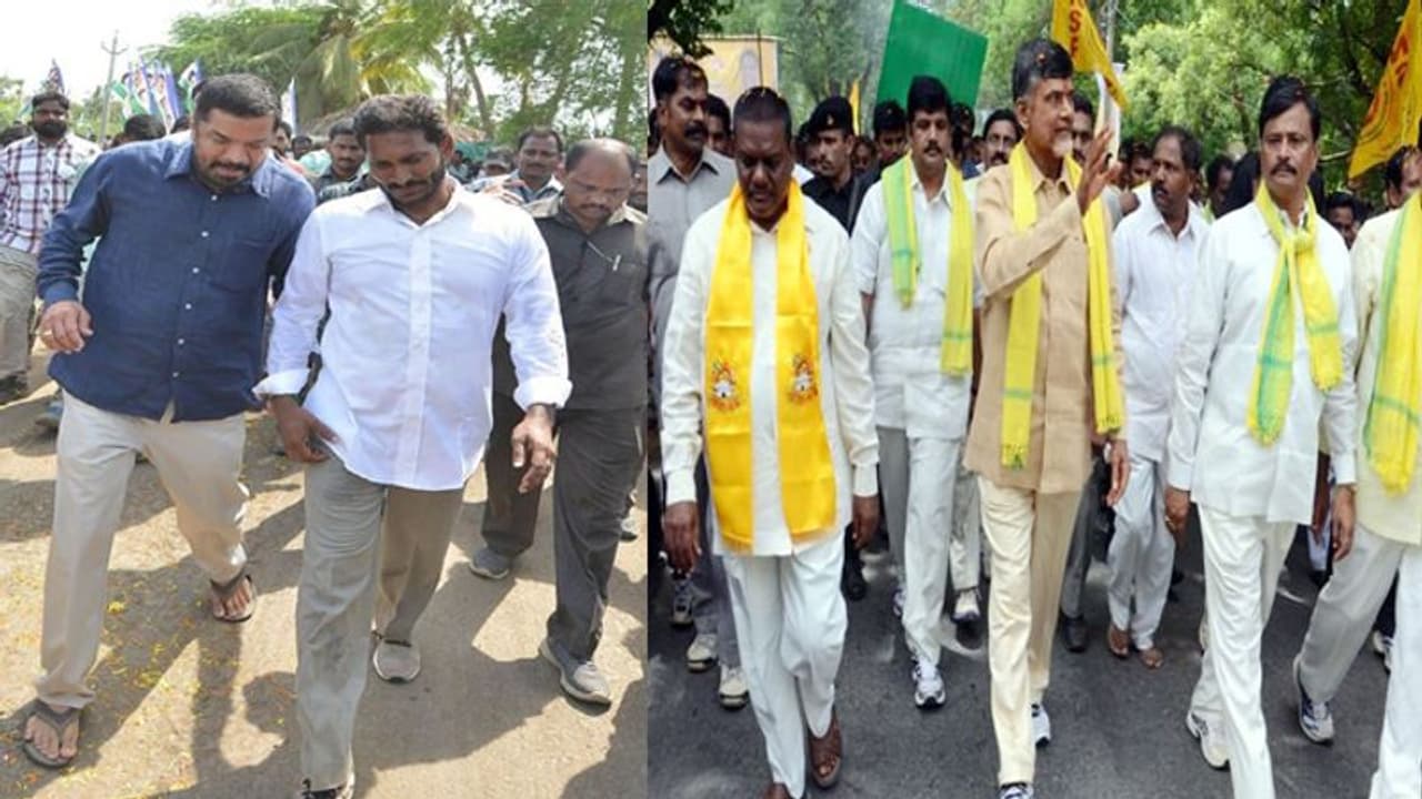 జగన్ ది హాలిడే పాదయాత్ర, నాది పవిత్రమైన పాదయాత్ర: చంద్రబాబు జగన్ ది హాలిడే పాదయాత్ర, నాది పవిత్రమైన పాదయాత్ర: చంద్రబాబు