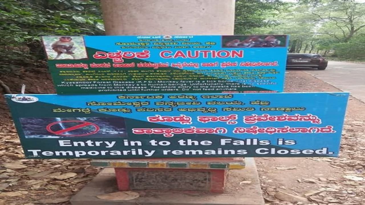 ಮಂಗನ ಕಾಯಿಲೆ ಎಫೆಕ್ಟ್; ಬೀಚ್ ಗೆ ಬರ್ಬೇಡಿ, ಕಾಡಿಗೆ ಹೋಗ್ಬೇಡಿ...! ಮಂಗನ ಕಾಯಿಲೆ ಎಫೆಕ್ಟ್; ಬೀಚ್ ಗೆ ಬರ್ಬೇಡಿ, ಕಾಡಿಗೆ ಹೋಗ್ಬೇಡಿ...!