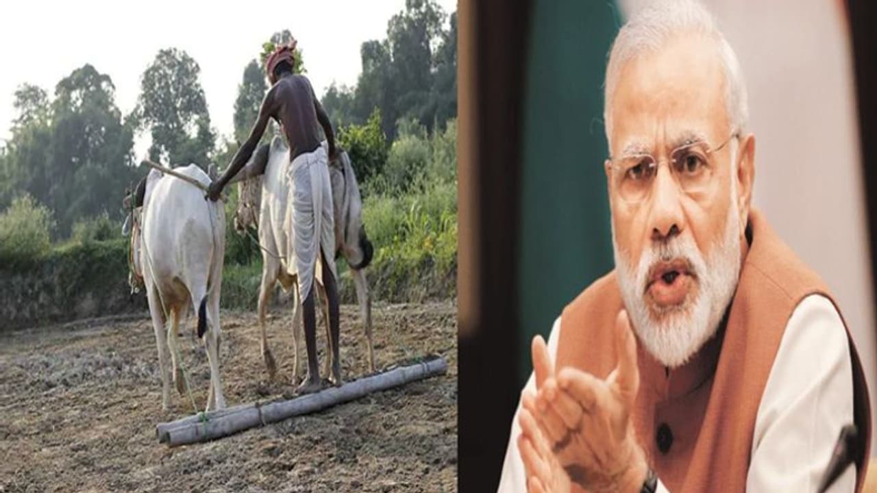 ರೈತರ ಖಾತೆಗೆ 6000 ರು: ಮೊದಲ ಕಂತು ವಿತರಣೆಗೆ ದಿನಾಂಕ ಫಿಕ್ಸ್! ರೈತರ ಖಾತೆಗೆ 6000 ರು: ಮೊದಲ ಕಂತು ವಿತರಣೆಗೆ ದಿನಾಂಕ ಫಿಕ್ಸ್!