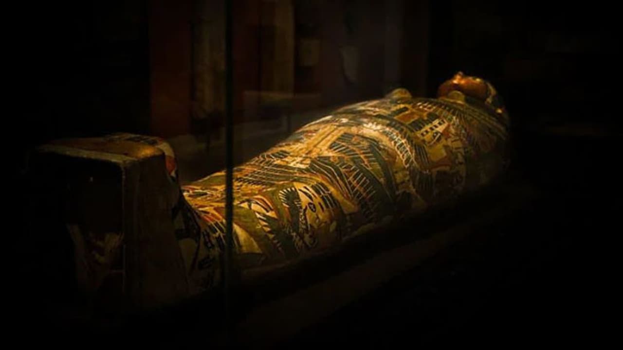 ഈജിപ്റ്റില് ബിസി 350 കാലഘട്ടത്തിലെ 40 മമ്മികൾ കണ്ടെത്തി ഈജിപ്റ്റില് ബിസി 350 കാലഘട്ടത്തിലെ 40 മമ്മികൾ കണ്ടെത്തി