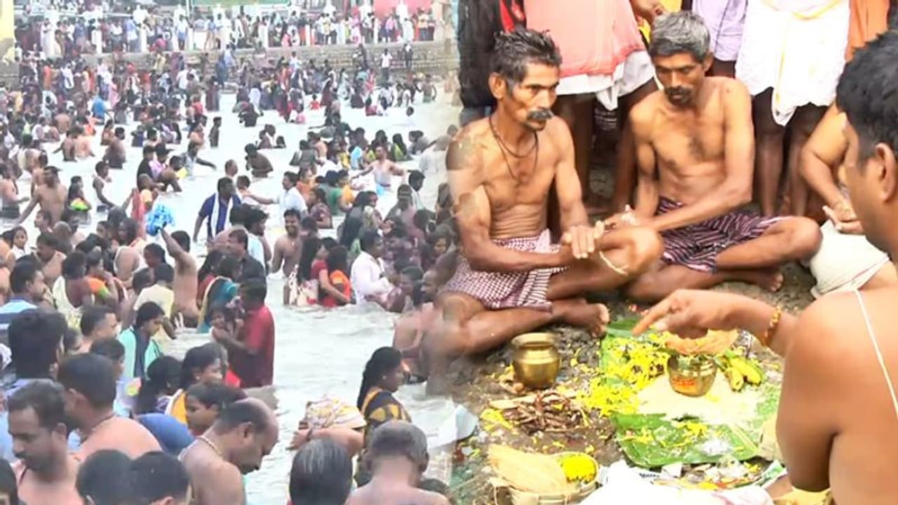 பித்ரு சாபம் நீக்கும் தை அமாவாசை தர்ப்பணம்.. எந்த நேரத்தில் செய்ய வேண்டும்? தானம் அருளும் புண்ணியம்