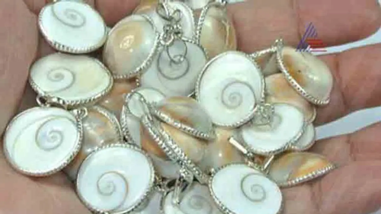 Gomati Chakra Gomati Chakra