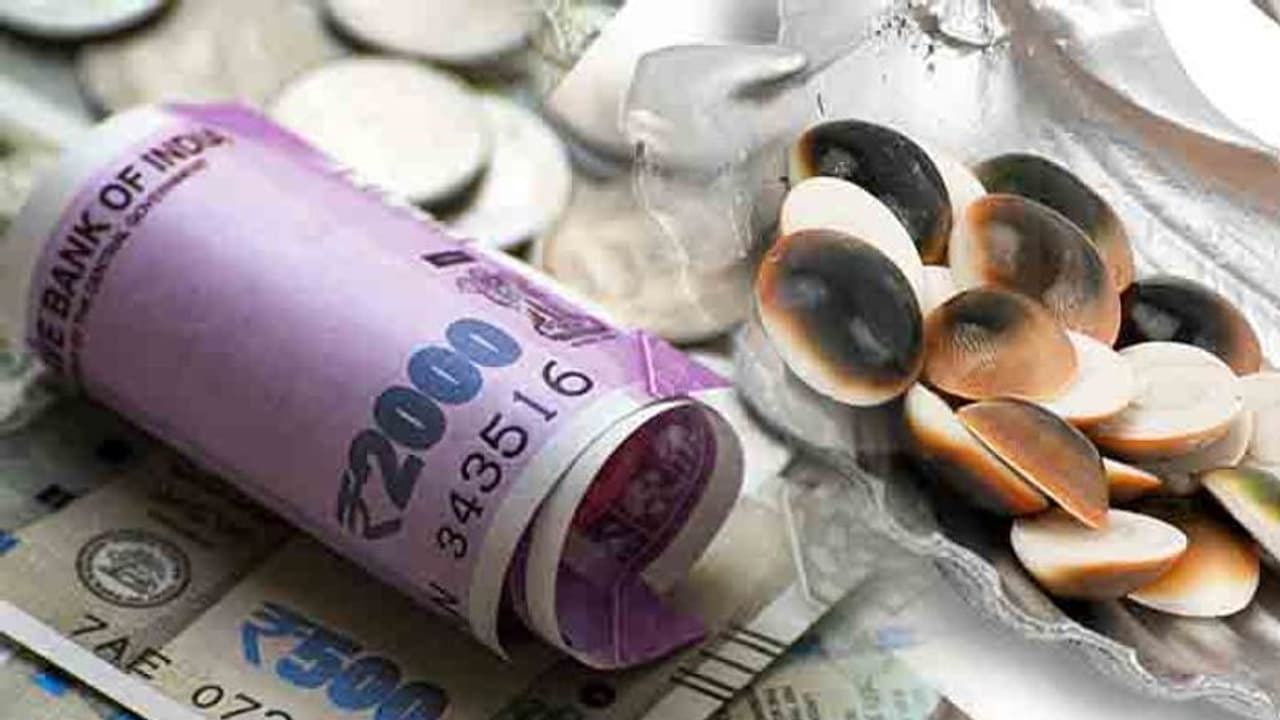 ধনলাভ, কর্মক্ষেত্রে পদোন্নতি, ব্যবসায় শ্রীবৃদ্ধি, এমনকী বিবাহ ঘটিত সমস্যা দূর করতে ব্যবহার করুন গোমতী চক্র ধনলাভ, কর্মক্ষেত্রে পদোন্নতি, ব্যবসায় শ্রীবৃদ্ধি, এমনকী বিবাহ ঘটিত সমস্যা দূর করতে ব্যবহার করুন গোমতী চক্র