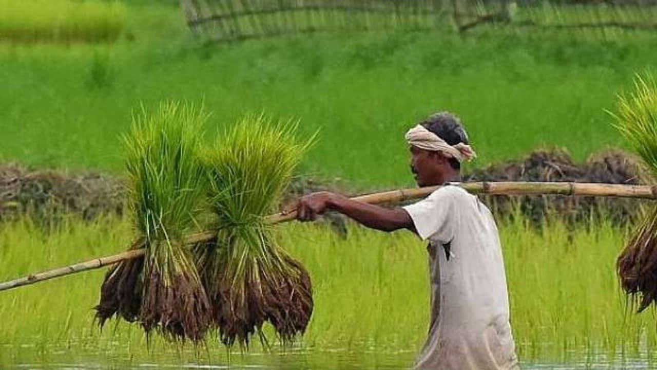 రైతులు ఇలా చేయకపోతే పీఎం కిసాన్ డబ్బులు రావు