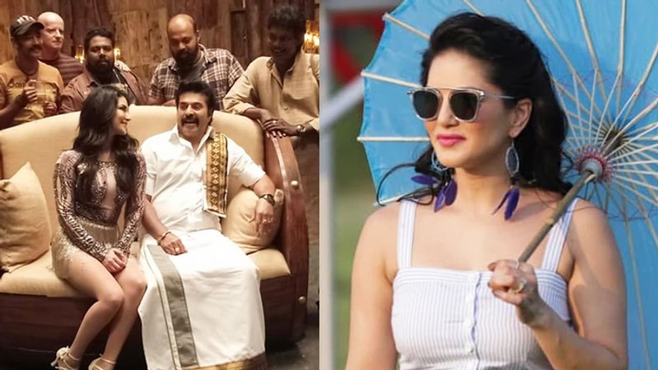'മമ്മൂട്ടി സാറിനൊപ്പം അഭിനയിക്കുക വലിയ ആഗ്രഹമായിരുന്നു'; സണ്ണി ലിയോണ് പറയുന്നു 'മമ്മൂട്ടി സാറിനൊപ്പം അഭിനയിക്കുക വലിയ ആഗ്രഹമായിരുന്നു'; സണ്ണി ലിയോണ് പറയുന്നു