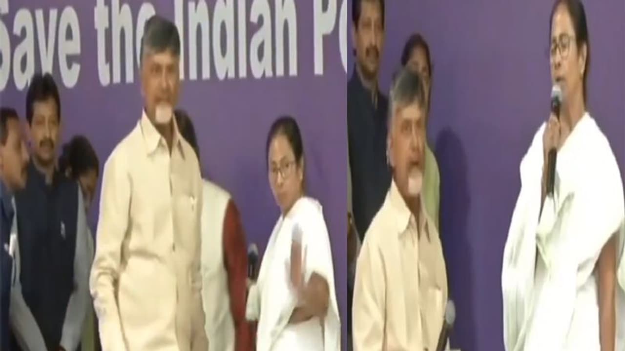 విపక్షాలపై బీజేపీ వేధింపులు ఆపాలి: మమత సత్యాగ్రహ దీక్షకు చంద్రబాబు సంఘీభావం విపక్షాలపై బీజేపీ వేధింపులు ఆపాలి: మమత సత్యాగ్రహ దీక్షకు చంద్రబాబు సంఘీభావం