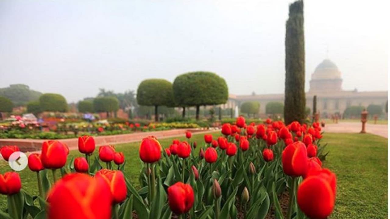 Mughal Gardens: ऑनलाइन बुकिंग करते समय इन स्टेप्स का रखें ध्यान, यहां जानिए टिकट प्राइस और बाकी डिटेल्स Mughal Gardens: ऑनलाइन बुकिंग करते समय इन स्टेप्स का रखें ध्यान, यहां जानिए टिकट प्राइस और बाकी डिटेल्स