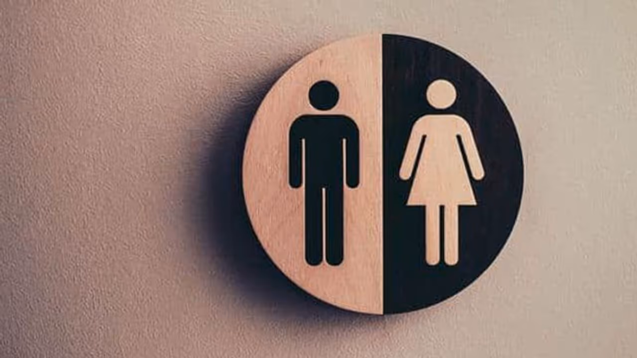 സ്ത്രീയുടെയും പുരുഷന്റെയും ബുദ്ധി ഒരുപോലെയാണോ; പഠനം പറയുന്നത് ഇങ്ങനെ സ്ത്രീയുടെയും പുരുഷന്റെയും ബുദ്ധി ഒരുപോലെയാണോ; പഠനം പറയുന്നത് ഇങ്ങനെ