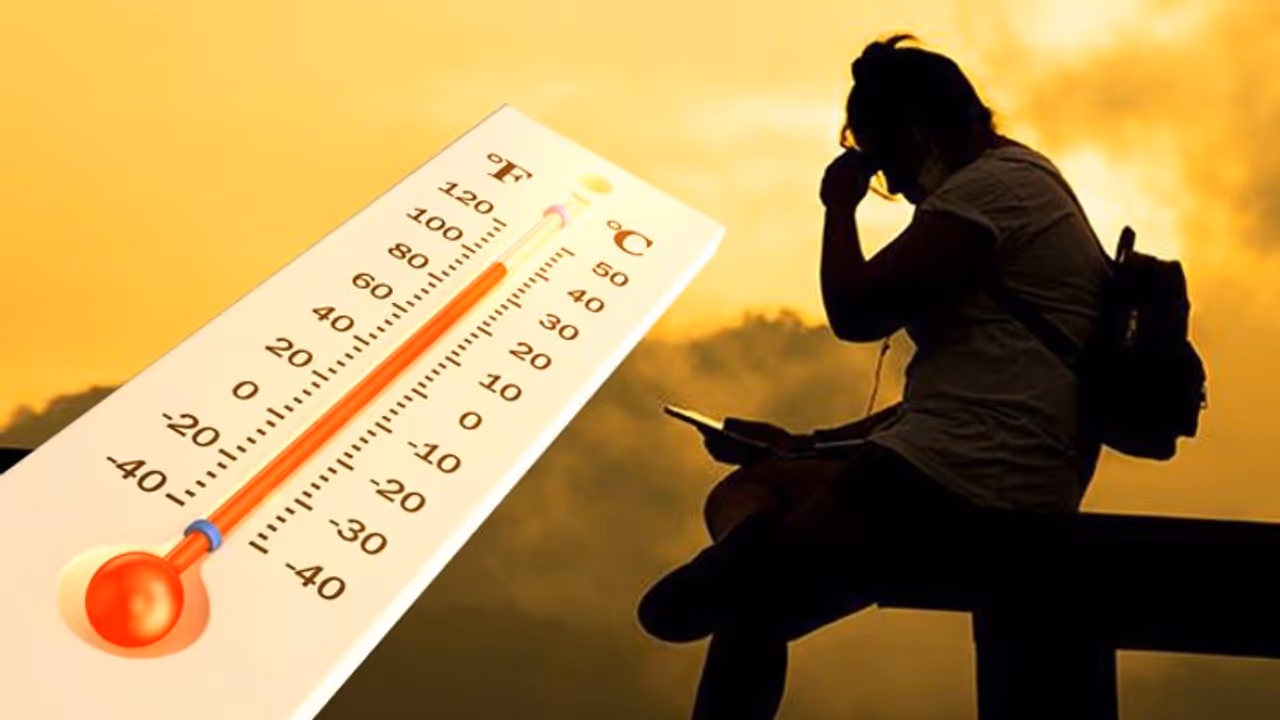 Bengaluru feels the soaring temperature in February Bengaluru feels the soaring temperature in February