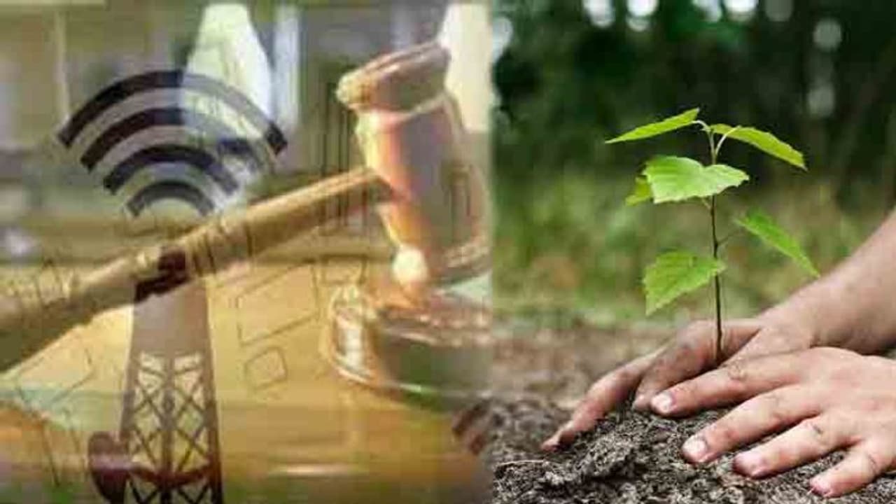 2జీ స్పెక్ట్రం కేసు: ఆగ్రహించిన కోర్టు...15 వేల మొక్కలు నాటాలంటూ శిక్ష 2జీ స్పెక్ట్రం కేసు: ఆగ్రహించిన కోర్టు...15 వేల మొక్కలు నాటాలంటూ శిక్ష