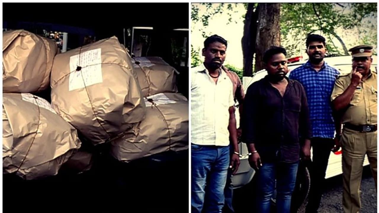 തിരുവനന്തപുരത്ത് വൻ കഞ്ചാവ് വേട്ട; കാറിൽ കടത്തിയ 80 കിലോ കഞ്ചാവ് പിടികൂടി തിരുവനന്തപുരത്ത് വൻ കഞ്ചാവ് വേട്ട; കാറിൽ കടത്തിയ 80 കിലോ കഞ്ചാവ് പിടികൂടി