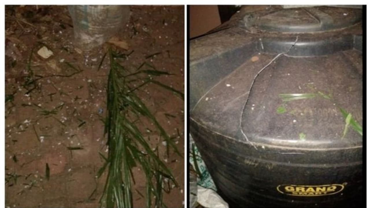 എ എൻ ഷംസീർ എംഎൽഎയുടെ വീടിന് നേരെ ബോംബെറിഞ്ഞ കേസ്; ആർഎസ്എസ് പ്രവർത്തകൻ പിടിയിൽ എ എൻ ഷംസീർ എംഎൽഎയുടെ വീടിന് നേരെ ബോംബെറിഞ്ഞ കേസ്; ആർഎസ്എസ് പ്രവർത്തകൻ പിടിയിൽ