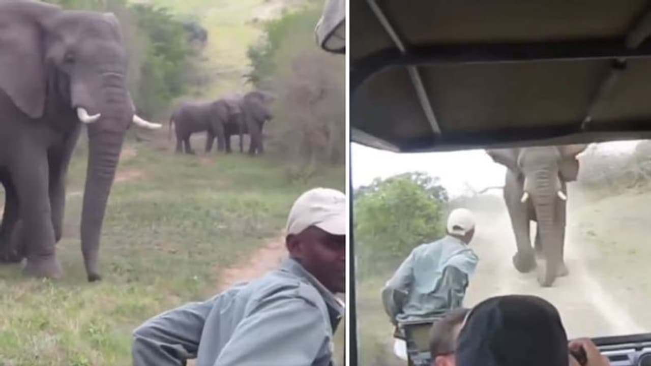 ഒരു കൈപ്പാടകലെ മരണം; അന്നേരം വണ്ടിയൊന്ന് നിന്നുപോയിരുന്നെങ്കിലോ! ഒരു കൈപ്പാടകലെ മരണം; അന്നേരം വണ്ടിയൊന്ന് നിന്നുപോയിരുന്നെങ്കിലോ!