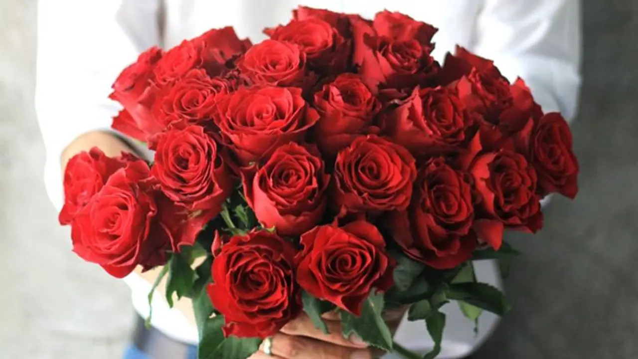 Valentine's Day special: 'Hello', a symbol of love for the beloved Valentine's Day special: 'Hello', a symbol of love for the beloved