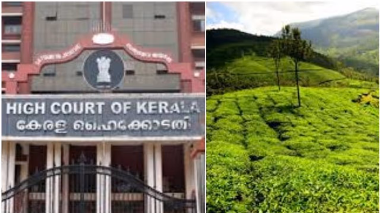 ദേവികുളം പഞ്ചായത്തിന്റെ ഭൂമി കയ്യേറ്റം; വീണ്ടും ഹൈക്കോടതിയെ സമീപിക്കാന് ഒരുങ്ങി പരാതിക്കാരന് ദേവികുളം പഞ്ചായത്തിന്റെ ഭൂമി കയ്യേറ്റം; വീണ്ടും ഹൈക്കോടതിയെ സമീപിക്കാന് ഒരുങ്ങി പരാതിക്കാരന്