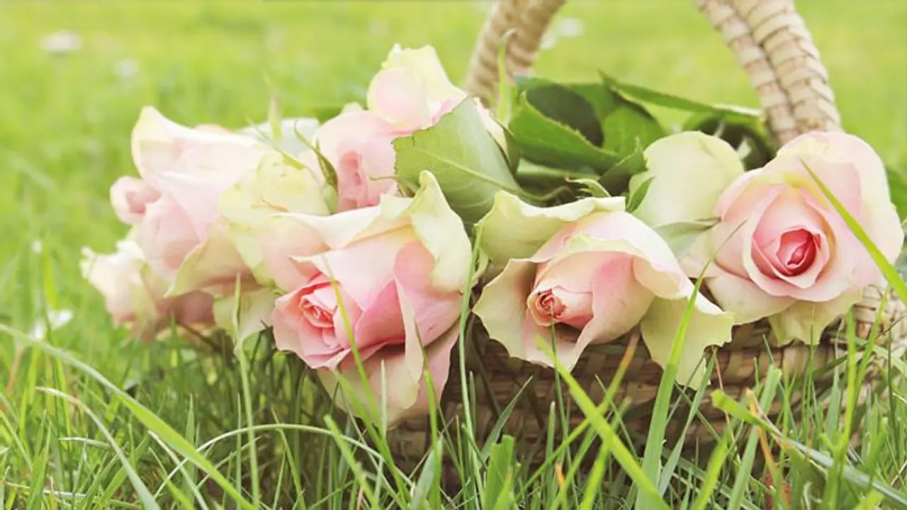 ആരാണ് ഈ 'വാലന്റൈന്'? എന്തുകൊണ്ടാണ് 'വാലന്റൈന്സ് ഡേ' പ്രണയദിനമാകുന്നത്? ആരാണ് ഈ 'വാലന്റൈന്'? എന്തുകൊണ്ടാണ് 'വാലന്റൈന്സ് ഡേ' പ്രണയദിനമാകുന്നത്?