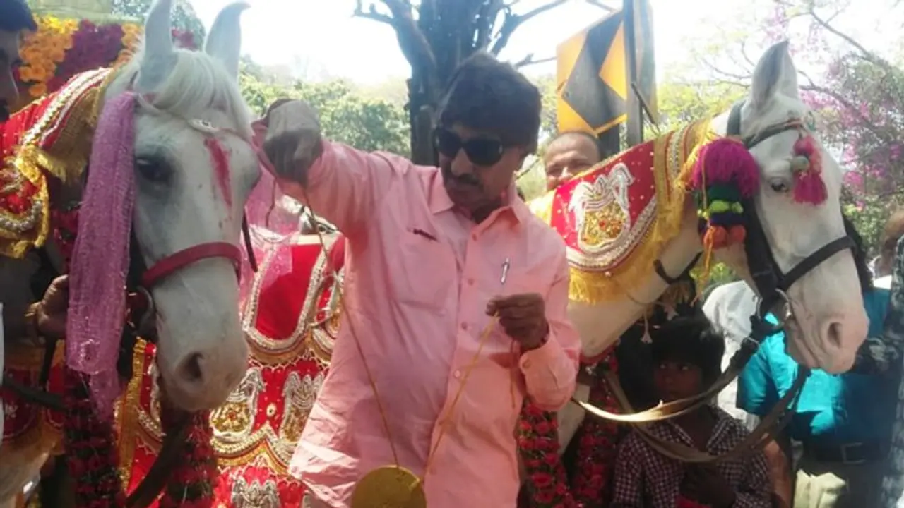 Valentine’s Day: Vatal gets horses married; demands Rs 2 lakh cash for lovers from Union govt Valentine’s Day: Vatal gets horses married; demands Rs 2 lakh cash for lovers from Union govt