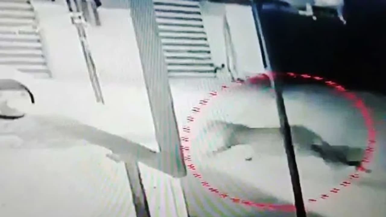 ಸಿಎಂ ನಿವಾಸದ ಬಳಿ ಚಿರತೆ: ಸಿಸಿಟಿವಿ ದೃಶ್ಯ ವೈರಲ್