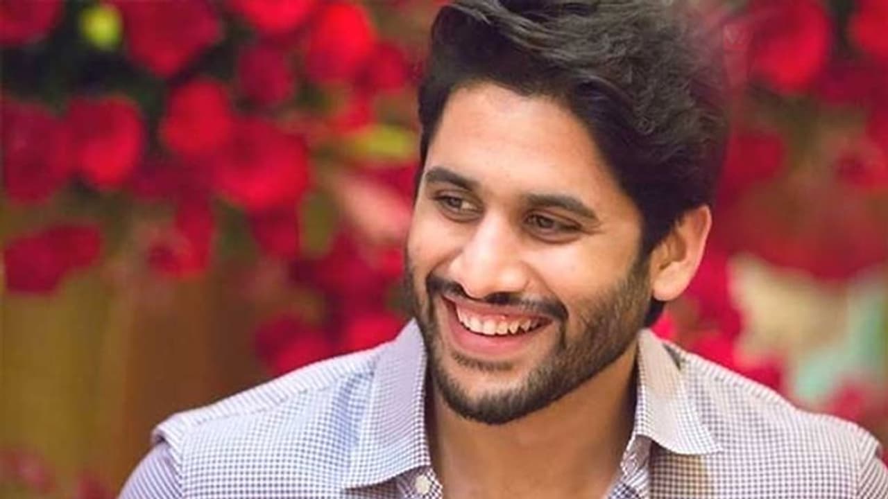 మెగా బ్యానర్ లో చైతు కూడా..? మెగా బ్యానర్ లో చైతు కూడా..?