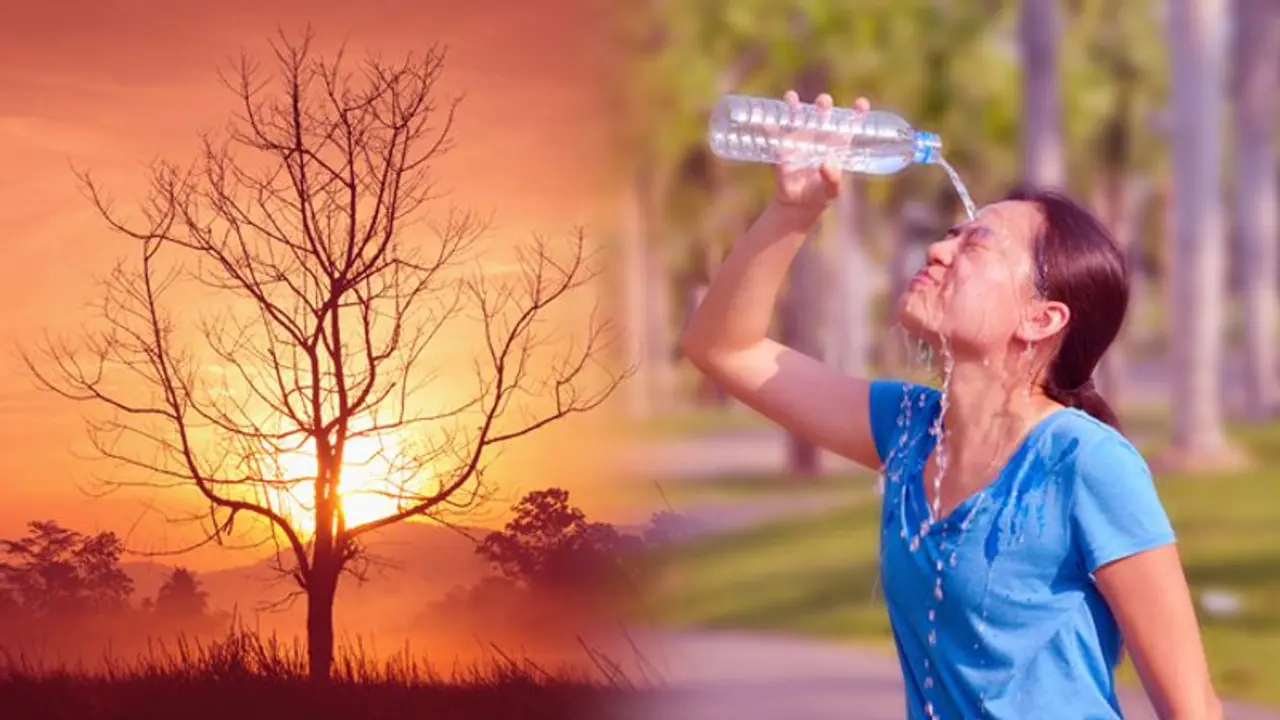 সর্বনাশ, ৯ ১০ ঘন্টা একটানা বসে কাজ করছেন, হিট স্ট্রেসে বাড়ছে বিপদ, ঝুঁকি এড়াতে কী করবেন