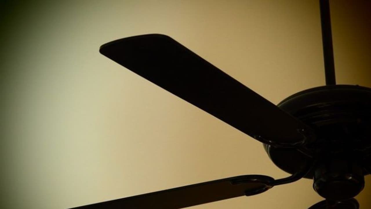 కోచింగ్ హబ్ ‘కోటా’లో పెరిగిన ఆత్మహత్యలు.. పరిష్కారంగా కొత్తరకం ఫ్యాన్లు.. ఉరి వేసుకుంటే ఊడివచ్చేలా..! (Video) కోచింగ్ హబ్ ‘కోటా’లో పెరిగిన ఆత్మహత్యలు.. పరిష్కారంగా కొత్తరకం ఫ్యాన్లు.. ఉరి వేసుకుంటే ఊడివచ్చేలా..! (Video)