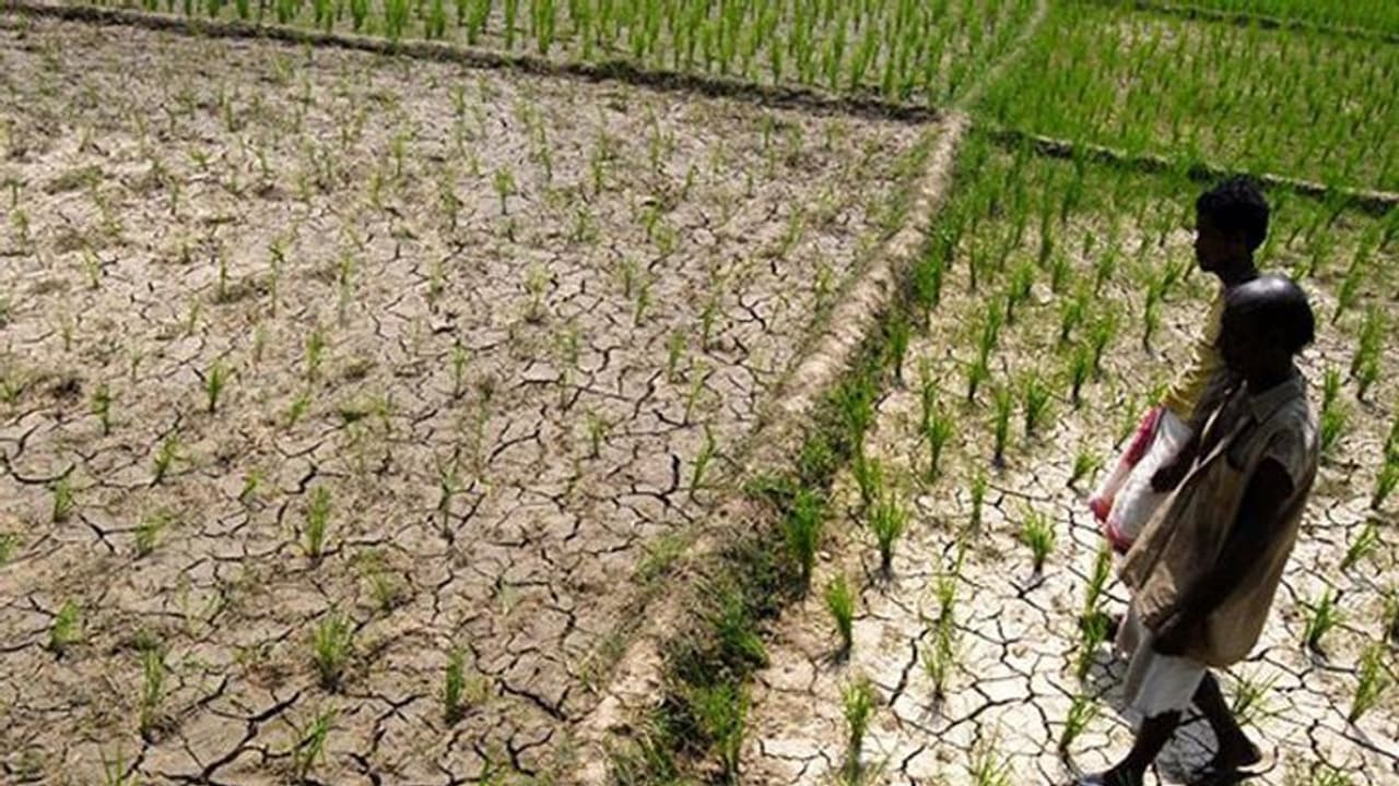 വേനൽ കടുത്തു, പാലക്കാട്ടെ താപനില 41 ഡിഗ്രീ; ന്യൂനമർദ്ദം ശക്തിപ്പെട്ടാൽ മഴയ്ക്ക് സാധ്യത വേനൽ കടുത്തു, പാലക്കാട്ടെ താപനില 41 ഡിഗ്രീ; ന്യൂനമർദ്ദം ശക്തിപ്പെട്ടാൽ മഴയ്ക്ക് സാധ്യത