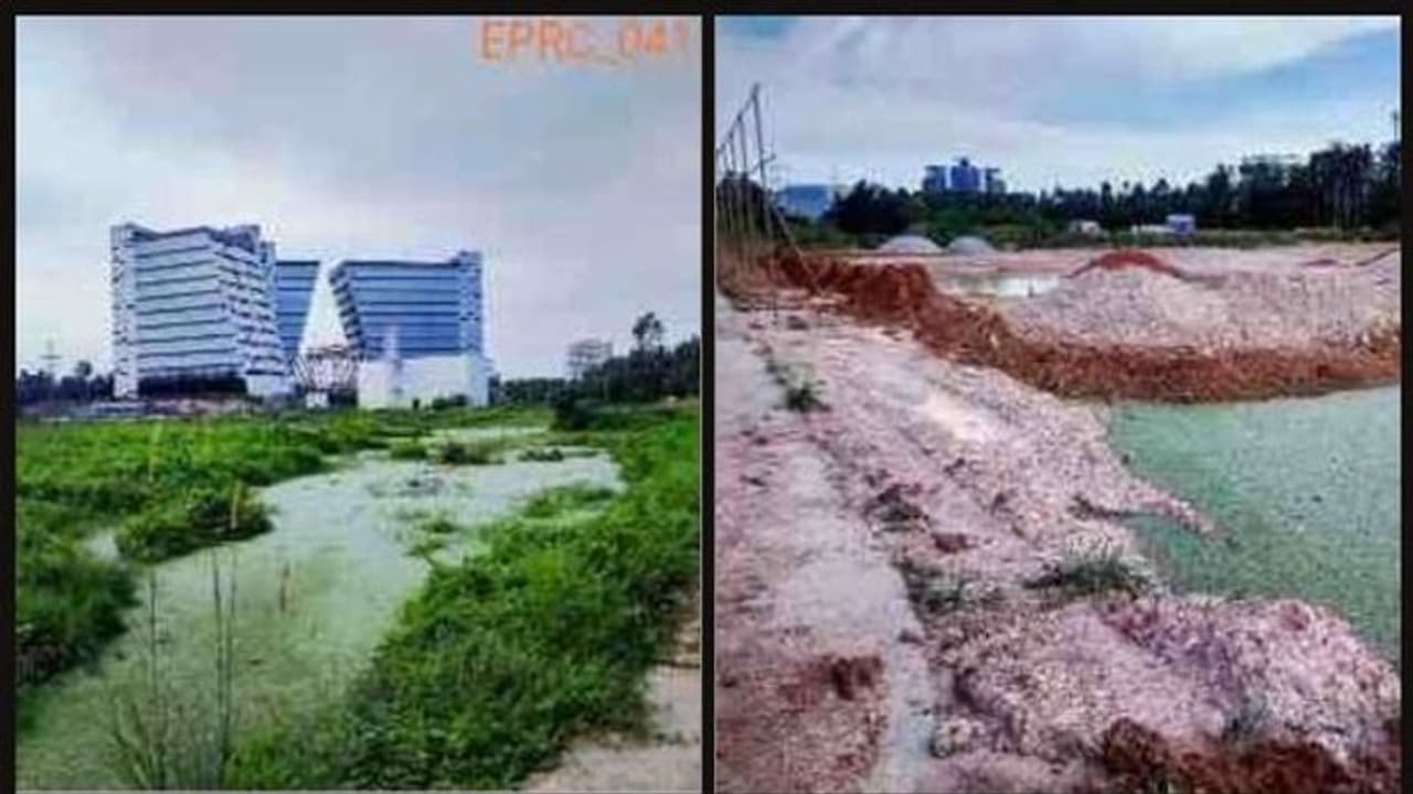 കലക്ടർ നടപടിയെടുത്തില്ല: ടെക്നോപാർക്കിലെ തണ്ണീർത്തടം നികത്തലിനെതിരെ പരാതിക്കാർ വീണ്ടും ഹരിത ട്രിബ്യൂണലിൽ കലക്ടർ നടപടിയെടുത്തില്ല: ടെക്നോപാർക്കിലെ തണ്ണീർത്തടം നികത്തലിനെതിരെ പരാതിക്കാർ വീണ്ടും ഹരിത ട്രിബ്യൂണലിൽ