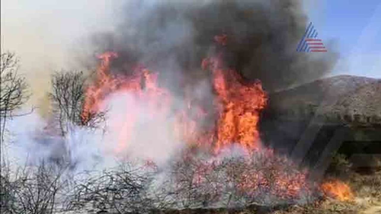 ವನ್ಯಸಂಕುಲಕ್ಕೆ ಬೆಂಕಿ.. ನೆರವಿಗೆ ಧಾವಿಸಿದ ದಚ್ಚು, ವಿಜಯ್, ಗಣೇಶ್ ವನ್ಯಸಂಕುಲಕ್ಕೆ ಬೆಂಕಿ.. ನೆರವಿಗೆ ಧಾವಿಸಿದ ದಚ್ಚು, ವಿಜಯ್, ಗಣೇಶ್