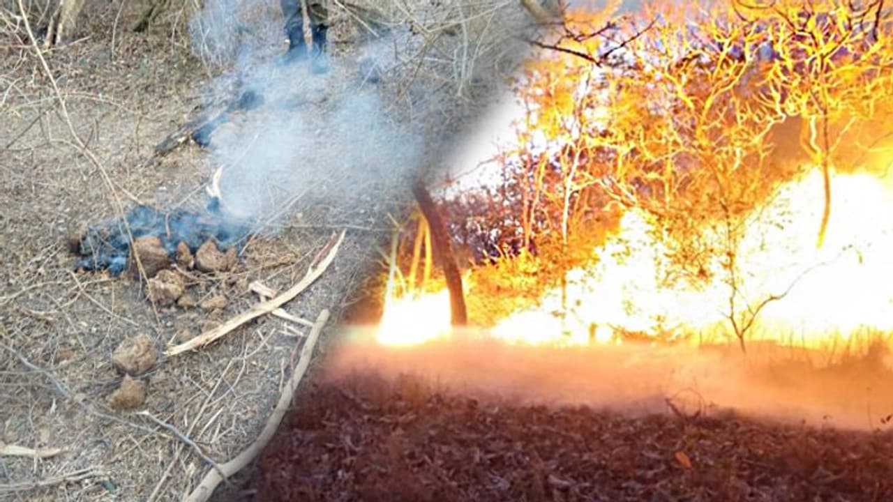 ಬಂಡೀಪುರ ರೋದನೆ: ಇದು ಕಾಡ್ಗಿಚ್ಚು ಅಲ್ಲ? ಫೋಟೋದಲ್ಲಿ ಬಯಲಾಯ್ತು ಕರಾಳ ಸತ್ಯ ಬಂಡೀಪುರ ರೋದನೆ: ಇದು ಕಾಡ್ಗಿಚ್ಚು ಅಲ್ಲ? ಫೋಟೋದಲ್ಲಿ ಬಯಲಾಯ್ತು ಕರಾಳ ಸತ್ಯ