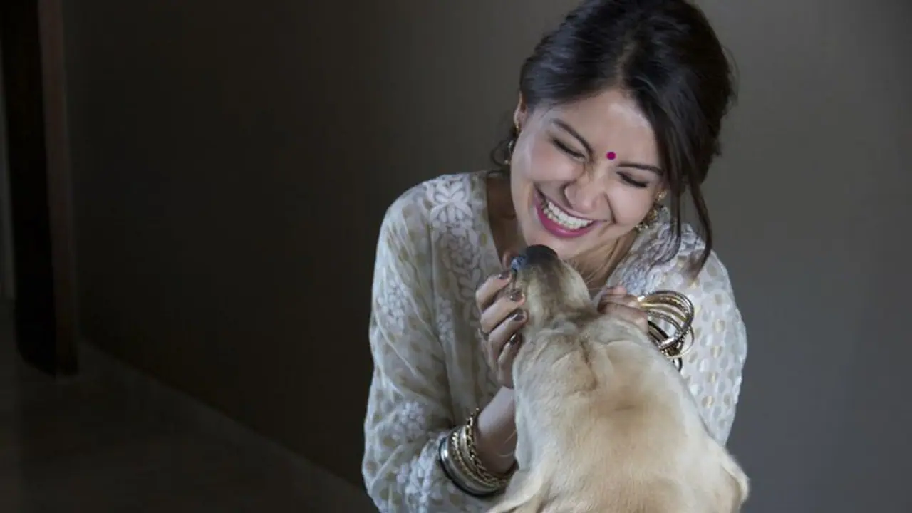 Here's the status of Anushka Sharma's veterinary hospital and animal shelter