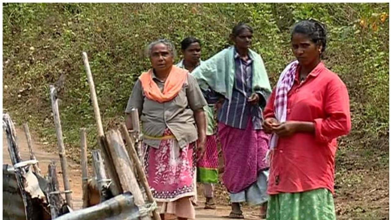 കാടിറങ്ങി വന്യമൃഗങ്ങള്; ഭീതിയോടെ പത്തനംതിട്ടയിലെ മലയോര മേഖല കാടിറങ്ങി വന്യമൃഗങ്ങള്; ഭീതിയോടെ പത്തനംതിട്ടയിലെ മലയോര മേഖല