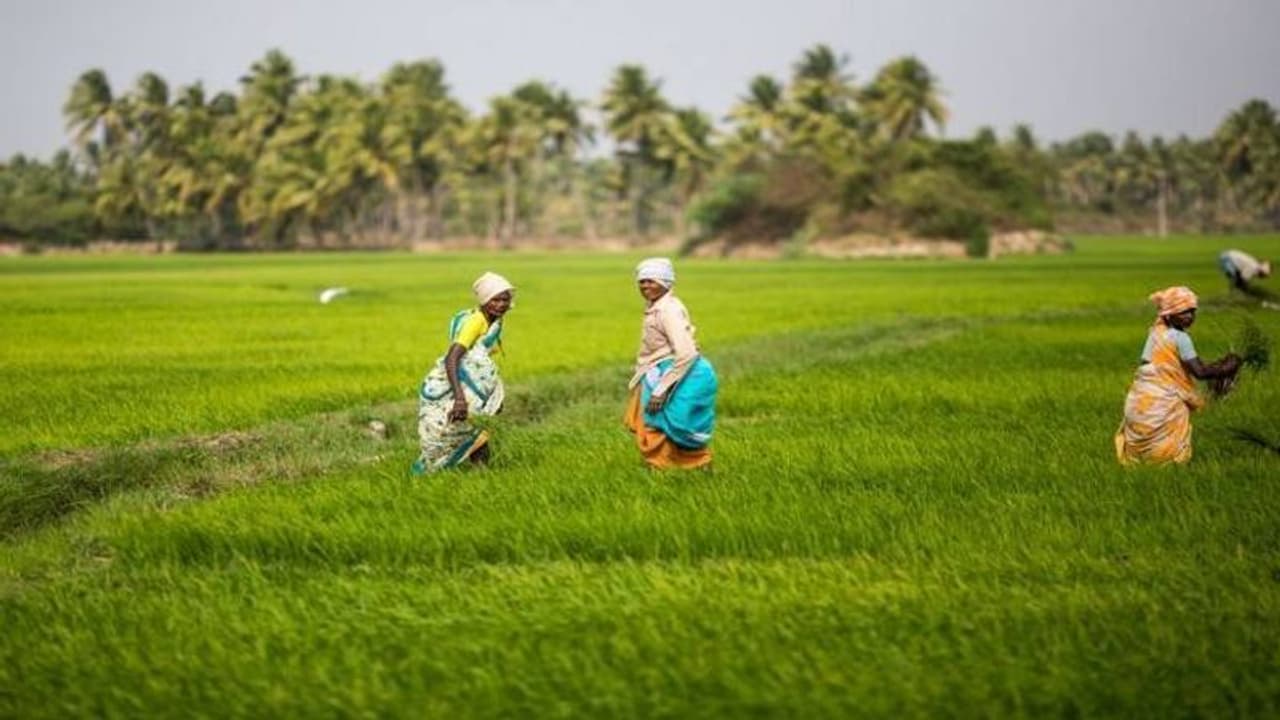 കാര്ഷിക മേഖലക്ക് കരുത്തേകി 12 ജലസേചന പദ്ധതികള് കാര്ഷിക മേഖലക്ക് കരുത്തേകി 12 ജലസേചന പദ്ധതികള്
