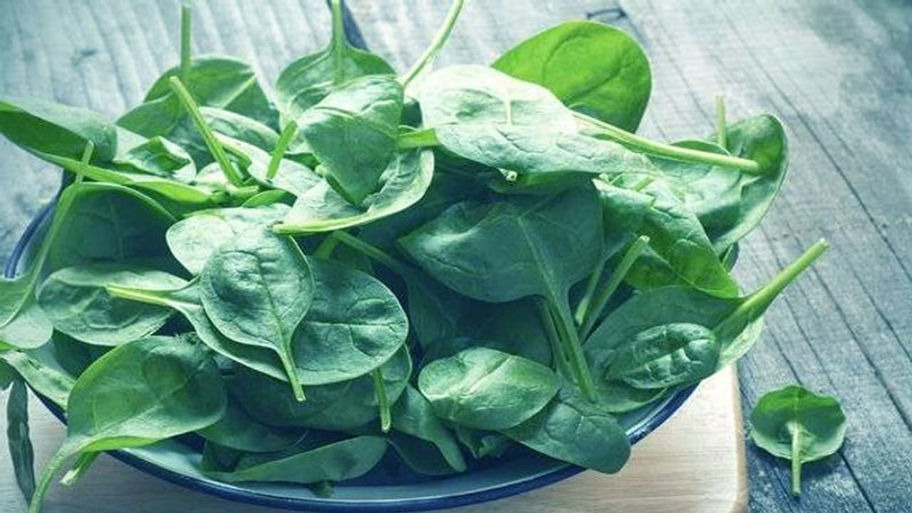 ಒಂದಲ್ಲ, ಎರಡಲ್ಲ ಪಾಲಕ್ ಸೊಪ್ಪಿನ ಲಾಭ ಹಲವು ಒಂದಲ್ಲ, ಎರಡಲ್ಲ ಪಾಲಕ್ ಸೊಪ್ಪಿನ ಲಾಭ ಹಲವು