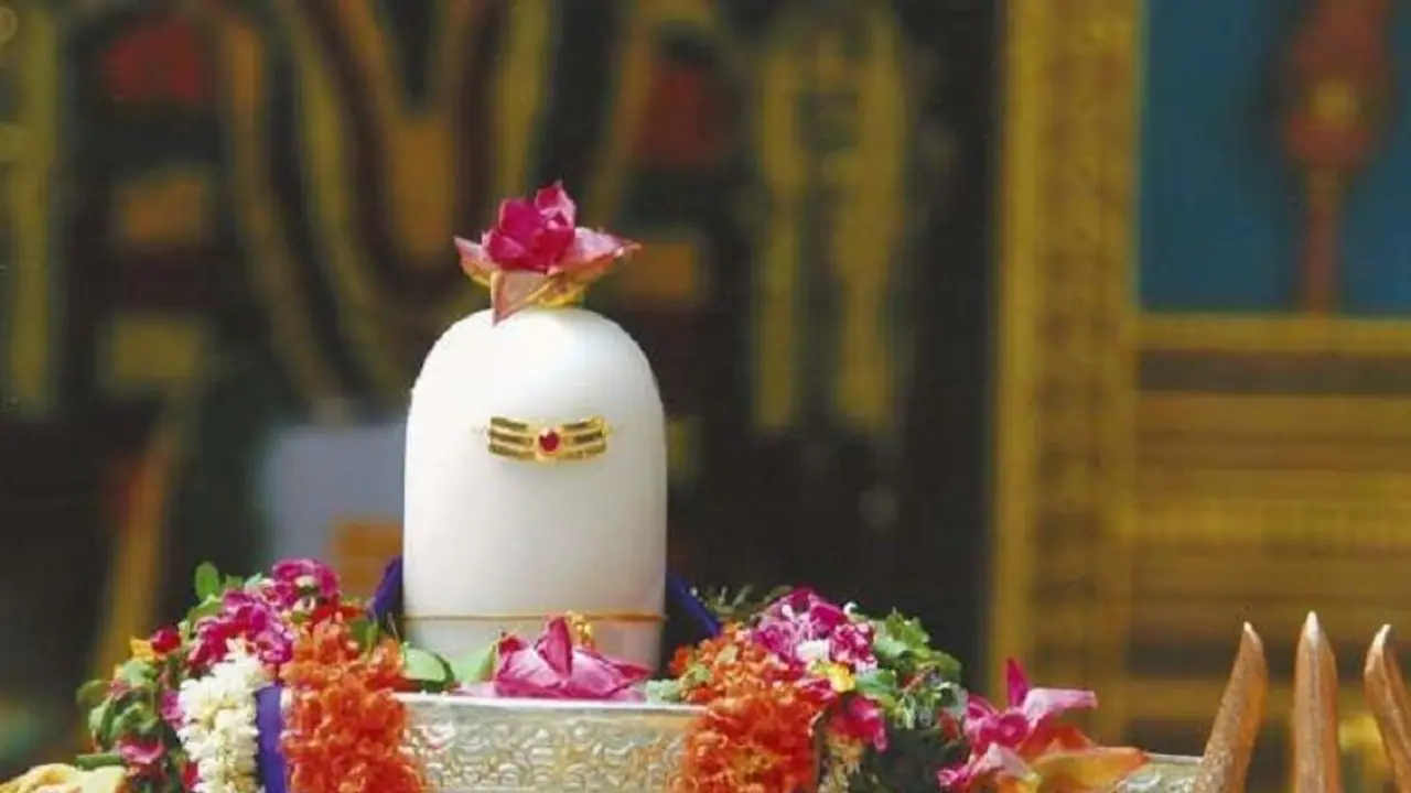 ১১৭ বছর পর আজকের এই মহাযোগ, এই তিথিতেই কাটিয়ে উঠুন কালসর্প দোষ