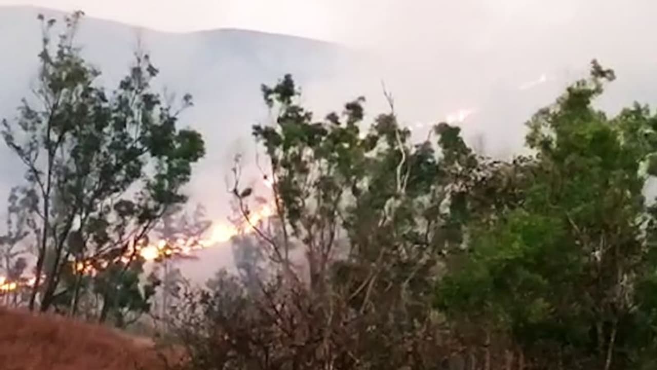 Fire at Sathyamangalam tiger reserve to last 2 days
