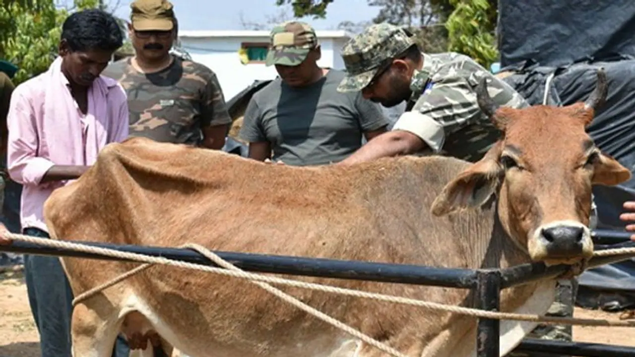 CRPF begins animal outreach in Chhattisgarh 'red corridor'